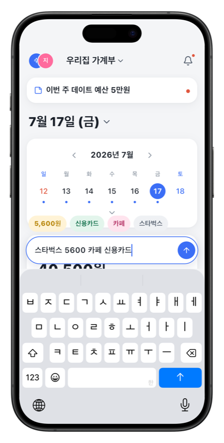 달딩가계부 한 줄 입력 화면